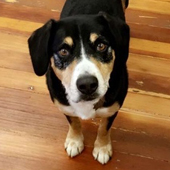 Liftopia Contact Us Photo 5